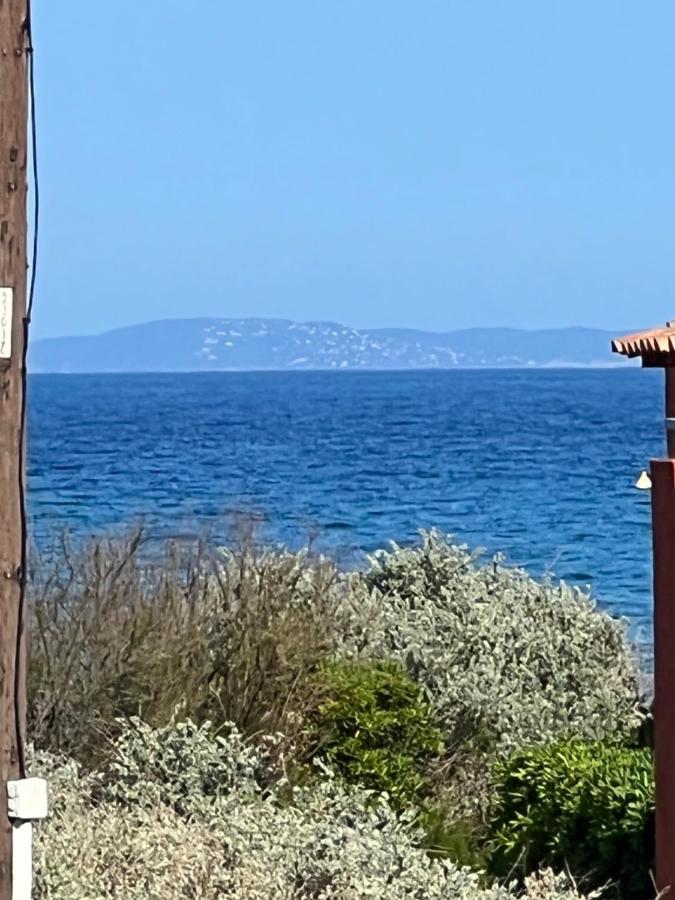 Plein Sud, Bel Appartement 20 Metres De La Plage La Capte Hyères Kültér fotó
